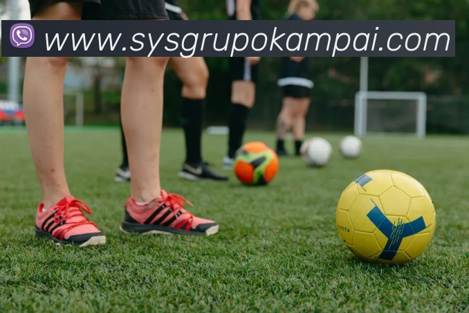 mksports登录入口平台生态图